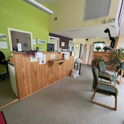 Chiropractor in Weaverville, NC